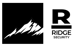 Logo netsec chile provedor 1