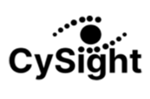 Logo netsec chile provedor 13